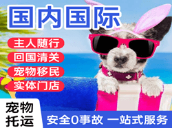 包头空运地址国际宠物托运 【国